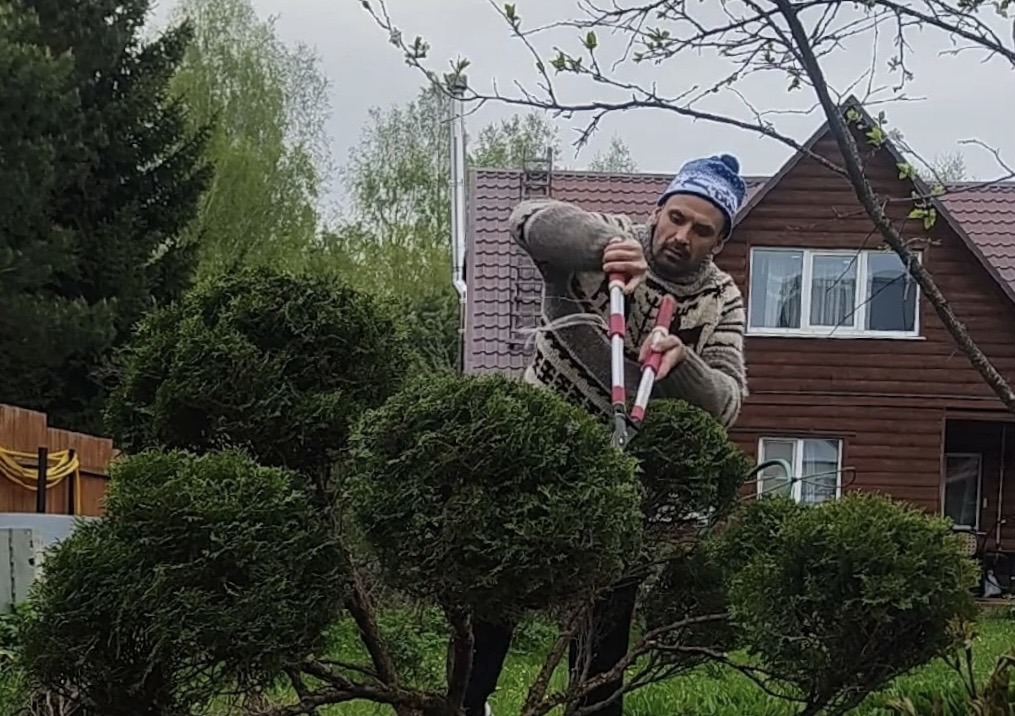 Фигурная стрижка кустарников